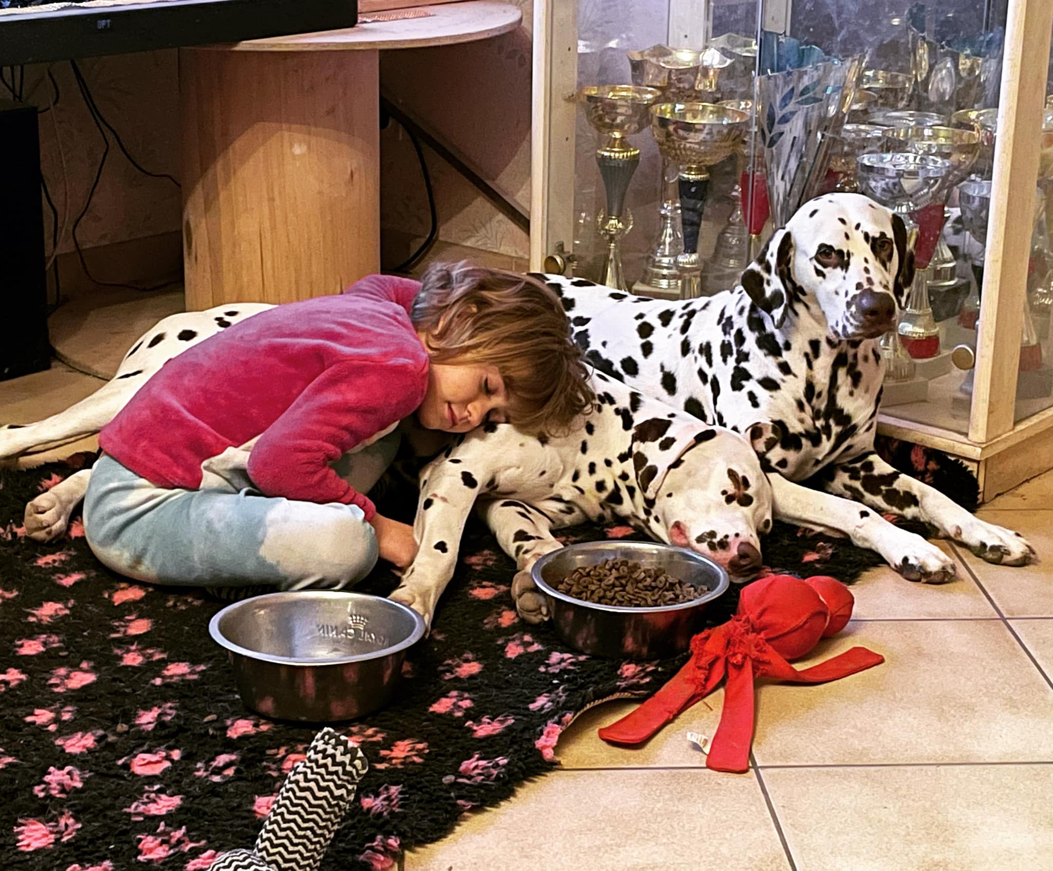 DALMATIEN – Image 2