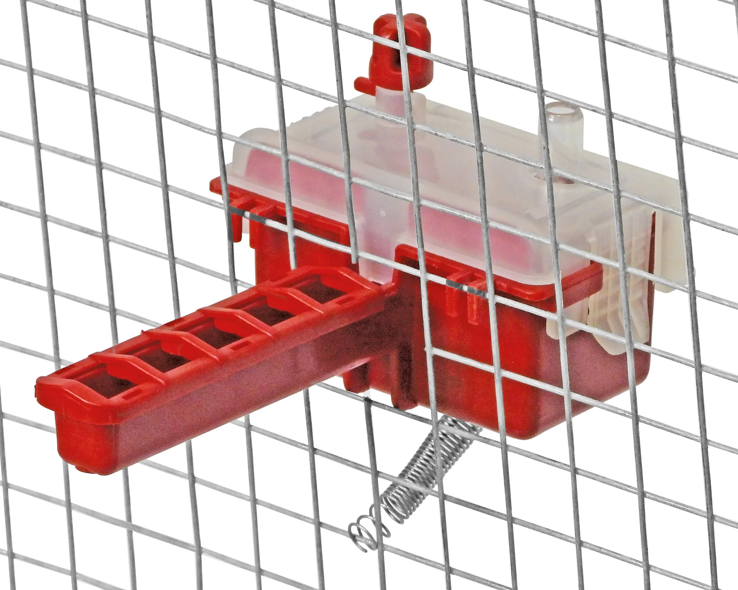 Abreuvoir automatique cailles et pigeons Novital