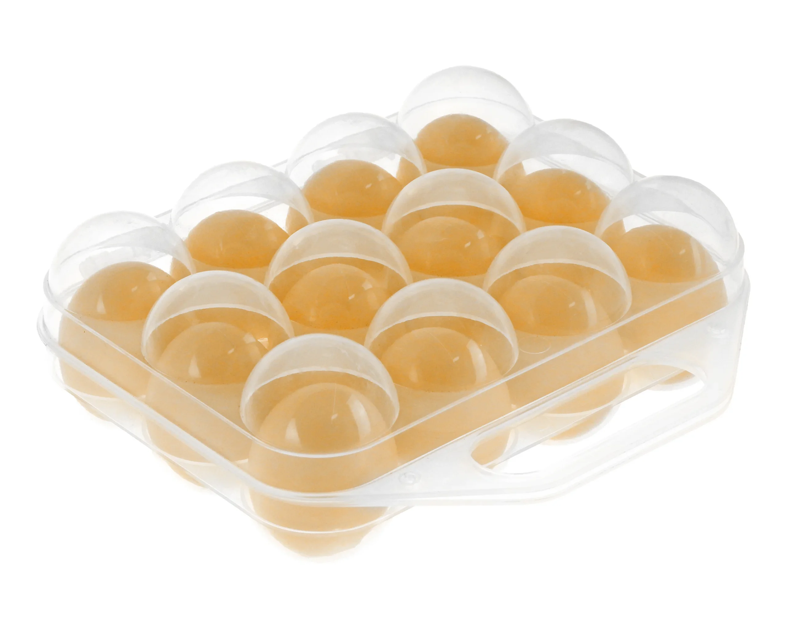 Boîte à œufs plastique Gaun