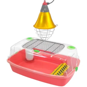 Kit Bac de démarrage pour poussins - le kit complet