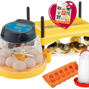Mon kit premiers poussins Brinsea