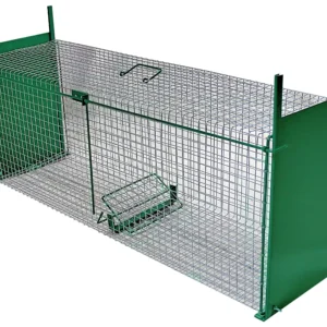 Piège à renard