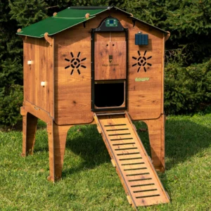 Poulailler Cucciolotta Duplex L - Le poulailler seul